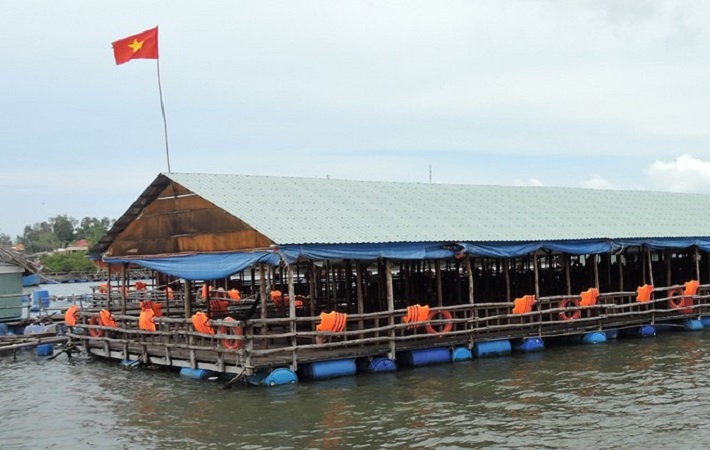 Vé du thuyền mini 12 chỗ tham quan Cảng Dầu khí; sông Dinh, Gò Găng - Tuyến 1