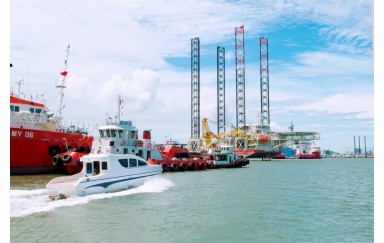 Tour tham quan cụm cảng thương mại dịch vụ biển
