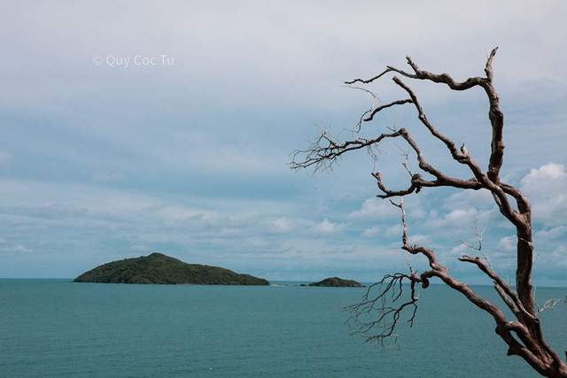Tới Côn Đảo không chỉ du lịch tâm linh: Cùng khám phá và tận hưởng thiên nhiên hoang sơ tuyệt mĩ với nhiếp ảnh gia Quỷ Cốc Tử  - Ảnh 11.